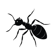 Ant vector  Illustration