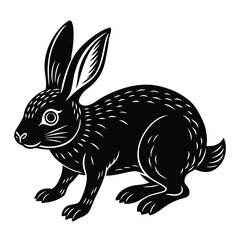 Black and White rabbit Vector  Illustration 