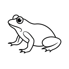 frog on white background