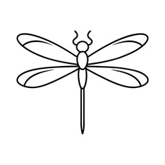 dragonfly on white background