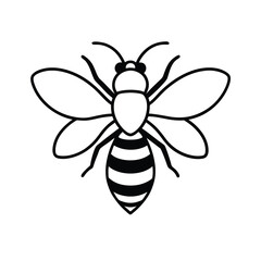 bee and flower