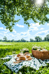 Picnic food on a blanket in field under trees with blue sky for summer fun