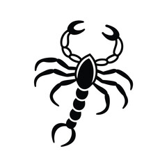 crab spider vector illustration