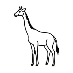 giraffe vector illustration