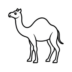 camel cartoon vector