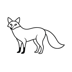 vector illustration of fox