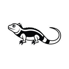 chameleon cartoon isolated on white background