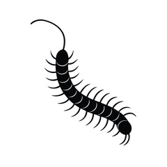 caterpillar on white background