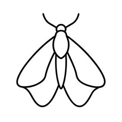 vector illustration of a fly