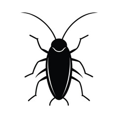 black beetle isolated on white background