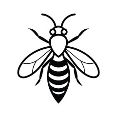 vector illustration of a bee