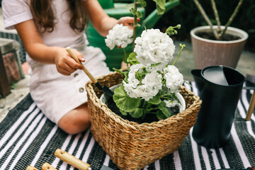 Young girl gardening, tending to white geraniums in a woven basket planter. Black watering can,...