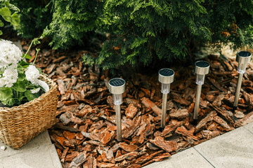 Set of four stainless steel solar garden lights installed in a landscaped outdoor area with mulch...