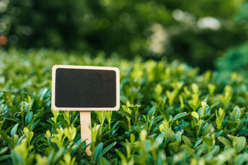 Blank wooden garden sign with a black chalkboard surface placed among green bushes. Customizable...