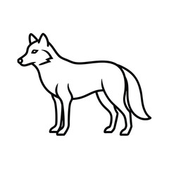 wolf vector illustration