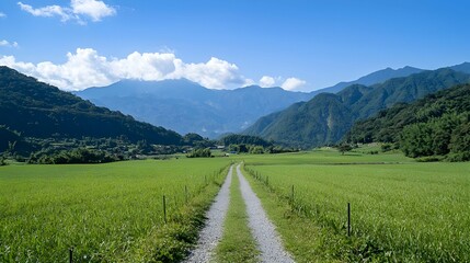 Fototapeta premium Serene Green Valley Landscape with Dirt Road