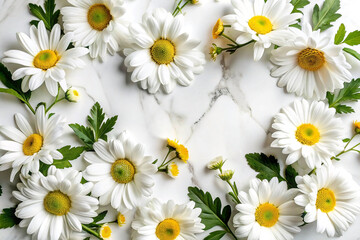 White Daisies Arranged on Marble Background