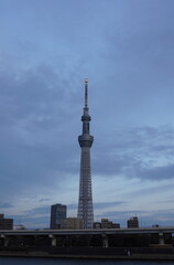 Obraz premium Tokyo Sky Tree at sunset 