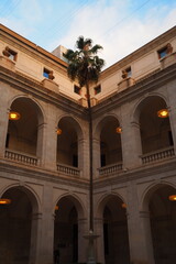 Springtime Courtyard in Malaga: Palm Trees, Fountain, and Classical Architecture