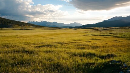 Stunning landscape view of vast grassy fields under a beautiful sky with mountains in the background : Generative AI