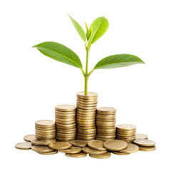 money growth concept with plant on coin stacks. investment and finance growth with plant and coins,pile of coins with a growing plant isolated on transparent background