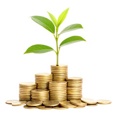 money growth concept with plant on coin stacks. investment and finance growth with plant and coins,pile of coins with a growing plant isolated on transparent background