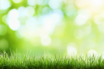 Obraz premium Close-up of fresh spring green grass with a beautifully blurred background, emphasizing the vivid colors and serene atmosphere.