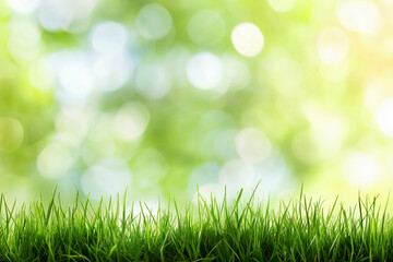 Fototapeta premium Spring summer background with frame of grass and leaves on nature. Juicy lush green grass on meadow in morning sunny light outdoors.