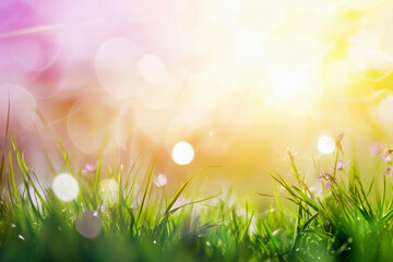 Obraz premium Spring summer background with frame of grass and leaves on nature. Juicy lush green grass on meadow in morning sunny light outdoors.