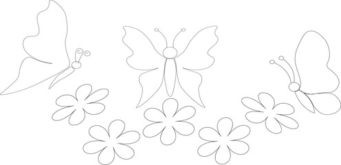 Outline of beautiful butterflies and daisies.