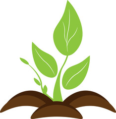 Two small, fresh spring green shoots grow out of the soil.