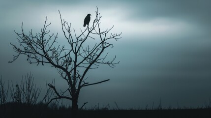 Lonely animal on tree,the desolate grassland