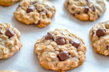 Naklejka premium oat and chocolate chips cookies
