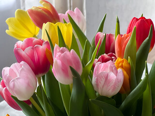 Beautiful colorful tulips bouquet in a glass case standing on a table in living room