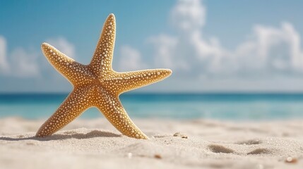 Starfish on the Sandy Beach with Turquoise Ocean and Beautiful Blue Sky in the Background