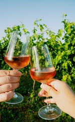 Wine tasting in the wineyards of wine festival in Gols