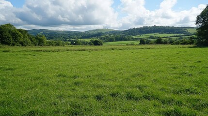Fototapeta premium A field of fresh green grass in a rural setting, with rolling hills in the background, creating a tranquil countryside scene