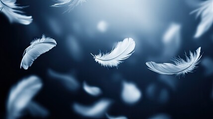 Obraz premium A flurry of delicate white feathers drifting in mid-air against a dark, moody backdrop.