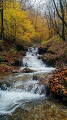 waterfall in colorful forest. Beautiful stream flowing in deep forest landscape. waterfall landscape in Autumn season. Autumn landscape in amazing nature. 