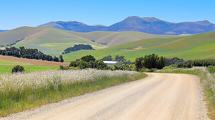 Obraz premium Winding dirt road amidst grassy fields trees and distant rolling hills under a clear blue sky.