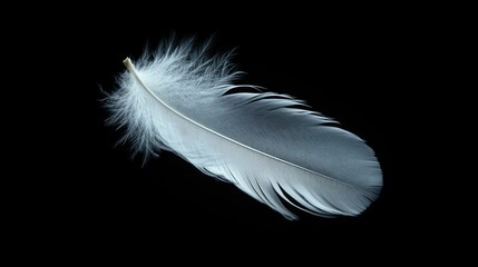 A perfectly detailed white feather slowly drifting down, standing out vividly against black.