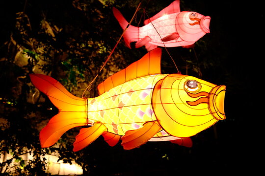 China's Yuanxiao (Filled round balls made of glutinous rice-flour for Lantern Festival) Festival lanterns.