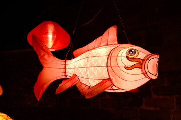 China's Yuanxiao (Filled round balls made of glutinous rice-flour for Lantern Festival) Festival lanterns.