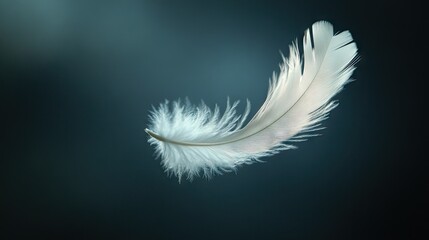 A single delicate white feather falling with motion blur against a dark background.