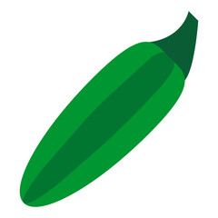 Jalapeno Vector Design Icon Style