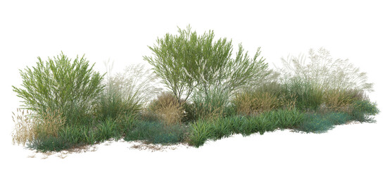 green grass on white background