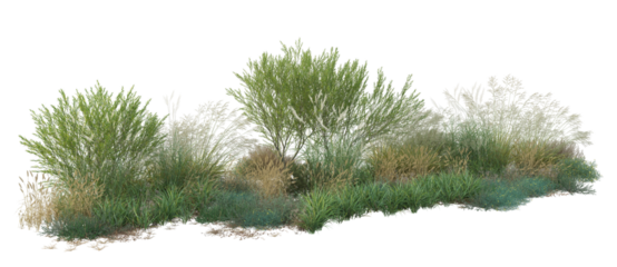 green grass on white background