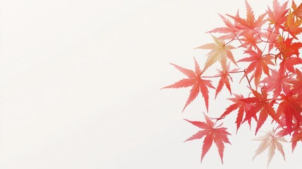 Red and Orange Maple Leaves on White Background