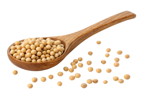 soybeans in wooden spoon isolated on transparent background png