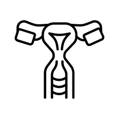 Reproductive Organs Vector Icon